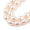 Natural Cultured Freshwater Pearl Beads Strands PEAR-I007-01A-03A-4