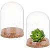  2 Sets High Borosilicate Glass Dome Cover DJEW-NB0001-20-1