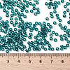 MIYUKI Round Rocailles Beads X-SEED-G008-RR2406-4
