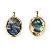 Synthetic Abalone Shell/Paua Shell Pendants X-KK-N233-254-1