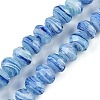 Handmade Lampwork Beads Strands LAMP-T007-13P-1