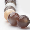 Natural Botswana Agate Beads Strands G-S279-08-12mm-3