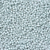 Glass Seed Beads SEED-S060-A-F408-3