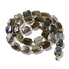 Natural Labradorite Beads Strands G-H061-A01-01-3