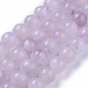 Natural Amethyst Beads Strands G-P433-23B-2