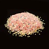 Plastic Sequins Beads PVC-R024-03B-2