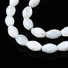 Natural Trochid Shell/Trochus Shell Beads Strands SSHEL-S266-021A-02-3