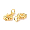 Brass Charms KK-G418-24G-3