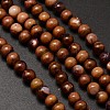 Natural Freshwater Shell Round Bead Strands X-SHEL-M012-03-1