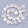 Shell Pearl Beads Strands X-SSHEL-T011-04A-2