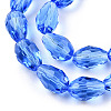 Glass Beads Strands GLAA-R024-15x10mm-8-2