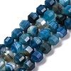 Natural Banded Agate(Dyed & Heated) Beads Strands G-C171-D01-01-1