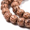 Natural Coconut Wood Beads Strands COCB-P002-09-1