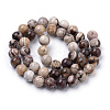 Natural Zebra Jasper Beads Strands X-G-S259-30-8mm-2