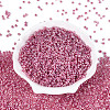 Glass Seed Beads SEED-A011-3mm-151-2