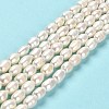 Natural Cultured Freshwater Pearl Beads Strands PEAR-E016-195-2