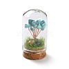 Syntheticl Crackle Turquoise Chips Money Tree in Dome Glass Bell Jars with Wood Base Display Decorations DJEW-K030-02G-1