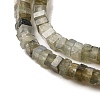 Natural Labradorite Beads Strands G-N342-85-4