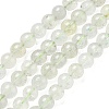 Natural Green Beryl Beads Strands G-F787-01-6mm-2