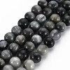 Natural Hawk's Eye Beads Strands G-S333-8mm-034-1