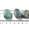 Natural Amazonite Beads Strands G-P528-E04-01-4