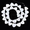 Natural Freshwater Shell Beads Strands SHEL-N027-21-2