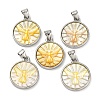 Natural Yellow Shell Carved Moth Pendants KK-D537-04P-01-1