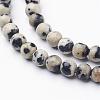 Natural Dalmatian Jasper Beads Strands GSR4mmC004-2