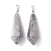 Natural Map Stone Pointed Pendants G-I314-02P-09-2