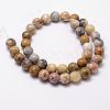 Natural Crazy Lace Agate Beads Strands G-D840-70-8mm-2