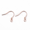 925 Sterling Silver Earring Hooks STER-D035-22RG-1