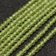 Natural Peridot Beads Strands G-K182-2mm-28