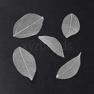 Dried Flower Leaf Craft Supplies AJEW-WH20816-056B-1