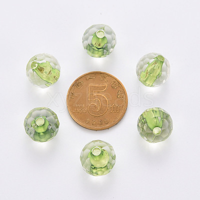 Transparent Acrylic Beads TACR-S154-10A-83-1
