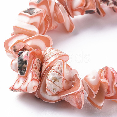 Natural Trochid Shell/Trochus Shell Bead Strands SSHEL-N034-105-A02-1