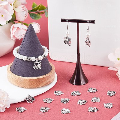 60Pcs Tibetan Style Alloy Message Charms FIND-SC0007-14-1