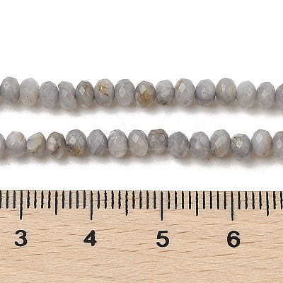 Natural Freshwater Shell Dyed Beads Strands SHEL-R100-13A-04-1