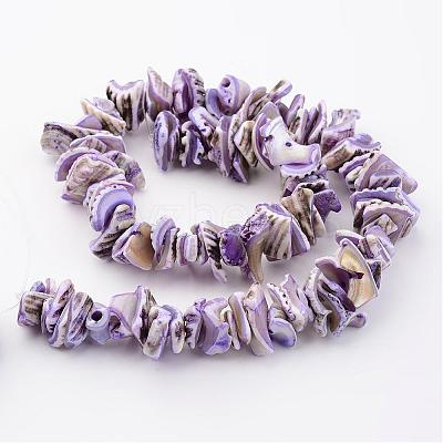 Natural Shell Bead Strands BSHE-P010-01-1