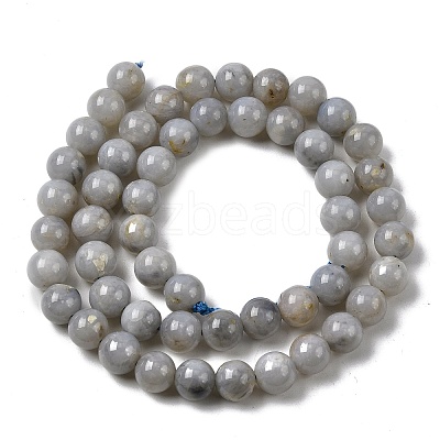 Natural Gemstone Beads Strands G-L641-A01-01-1