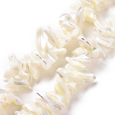 Natural Trochid Shell Beads Strands X-SSHEL-G023-05B-1