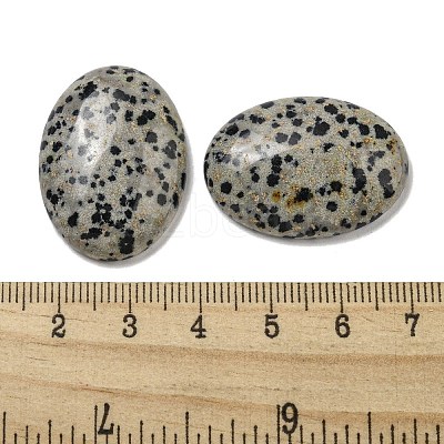 Natural Dalmatian Jasper Cabochons G-C115-01B-10-1
