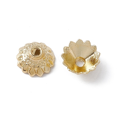 Alloy Beads Cap FIND-B013-22LG-1