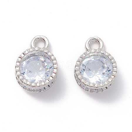 Alloy Clear Cubic Zirconia Charms ZIRC-A022-04P-1