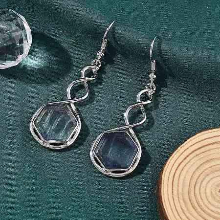 Hexagon Natural Fluorite Dangle Earrings EJEW-K298-01P-10-1