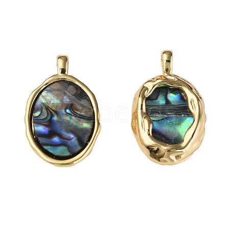 Synthetic Abalone Shell/Paua Shell Pendants X-KK-N233-254-1