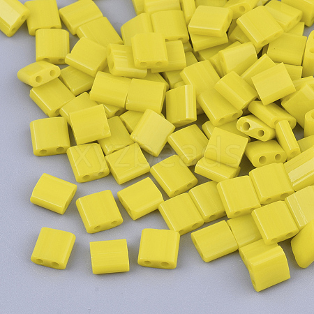 FGB 2-Hole Glass Seed Beads X-SEED-S031-L-042-1