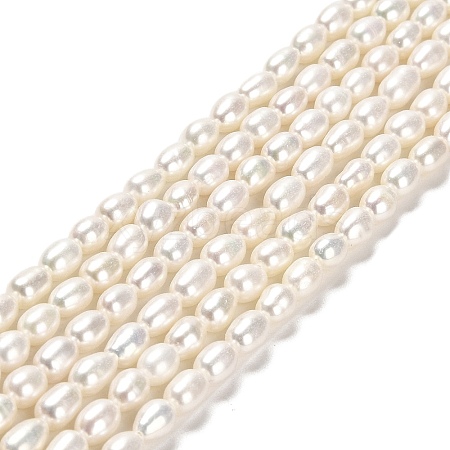 Natural Cultured Freshwater Pearl Beads Strands PEAR-E016-145-1