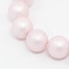 Round Shell Pearl Frosted Beads Strands BSHE-I002-8mm-12-1