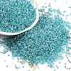 Baking Paint Silver Lined Glass Seed Beads SEED-H003-09H-1