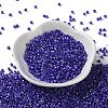 Baking Paint Glass Seed Beads SEED-S042-15A-21-2